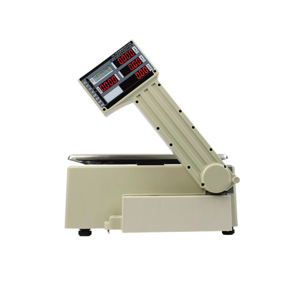 HS-A04 AI Recognition Scale with Printer